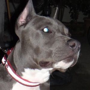 Meet your Posher, Mhar angelo